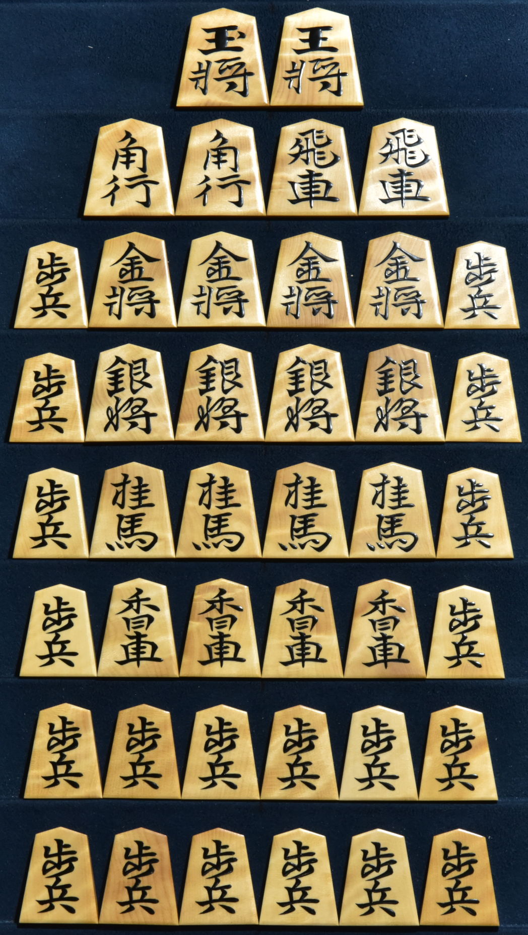 将棋駒 富月作 水無瀬 特上杢 盛揚