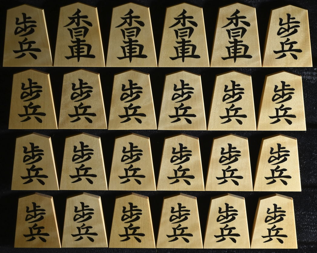 壺中天　生駒瓢泉著 壺中天 生駒瓢泉著