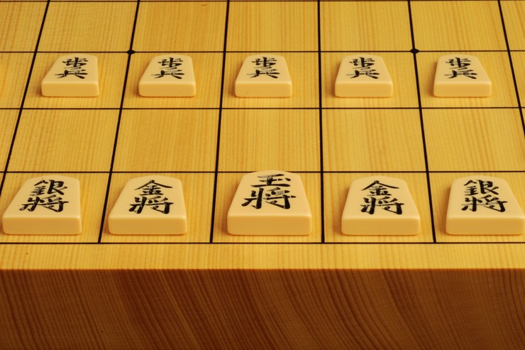 将棋駒 プラスチック 歩心 裏黒