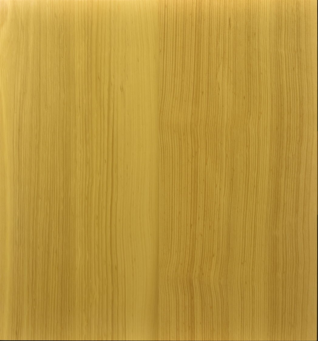 本榧 卓上盤 卓上将棋盤 本榧(日本・日向産) t6546