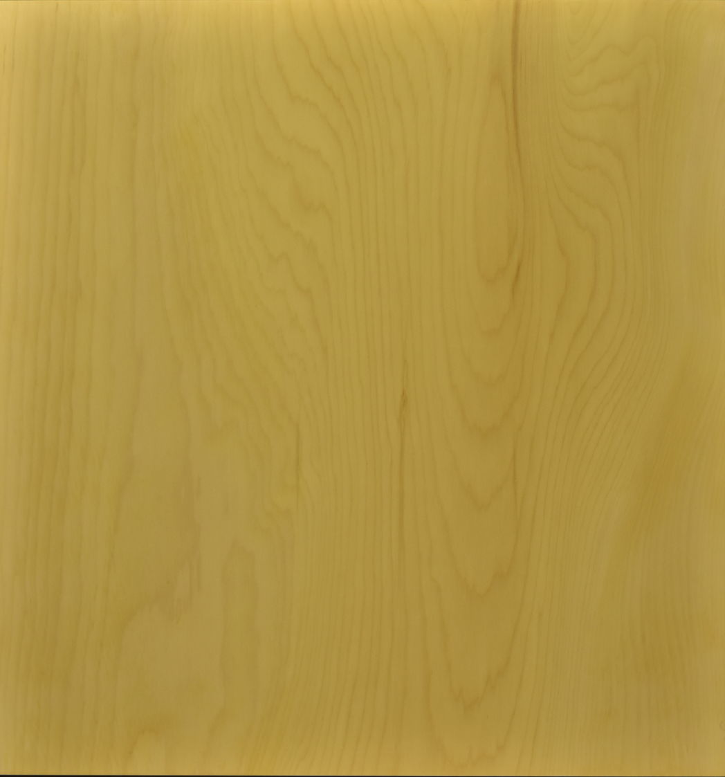 日本産本榧の木の板　一枚板 卓上碁盤 本榧(日本産) 一枚板 t6989